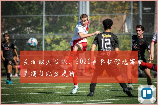 关注叙利亚队：2026世界杯预选赛直播与比分更新